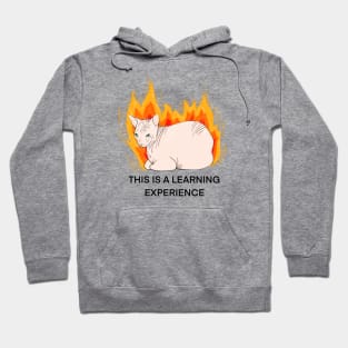 This is a learning experience Hoodie